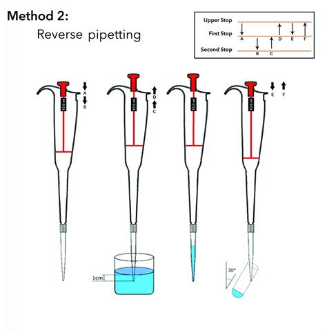 reverse pipetting technique|correct pipetting technique.